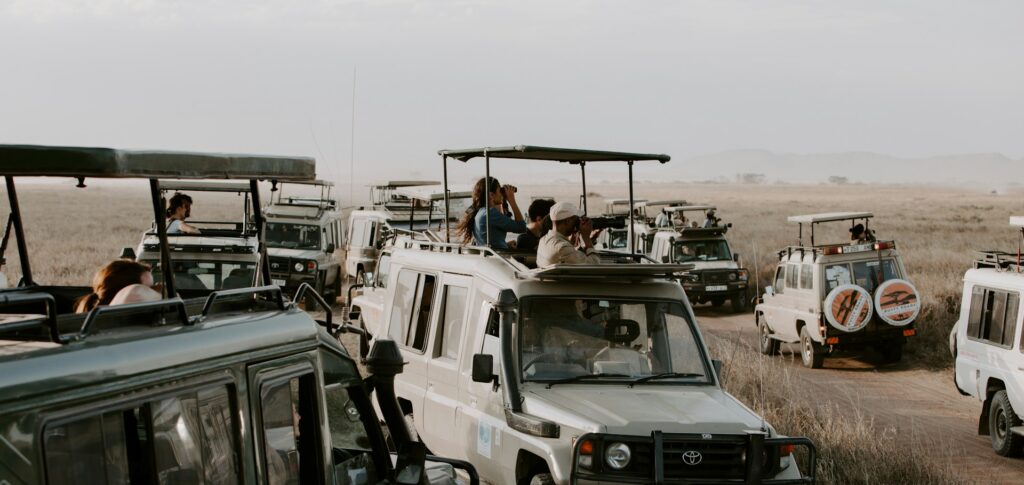 African Safari Holidays Kenya