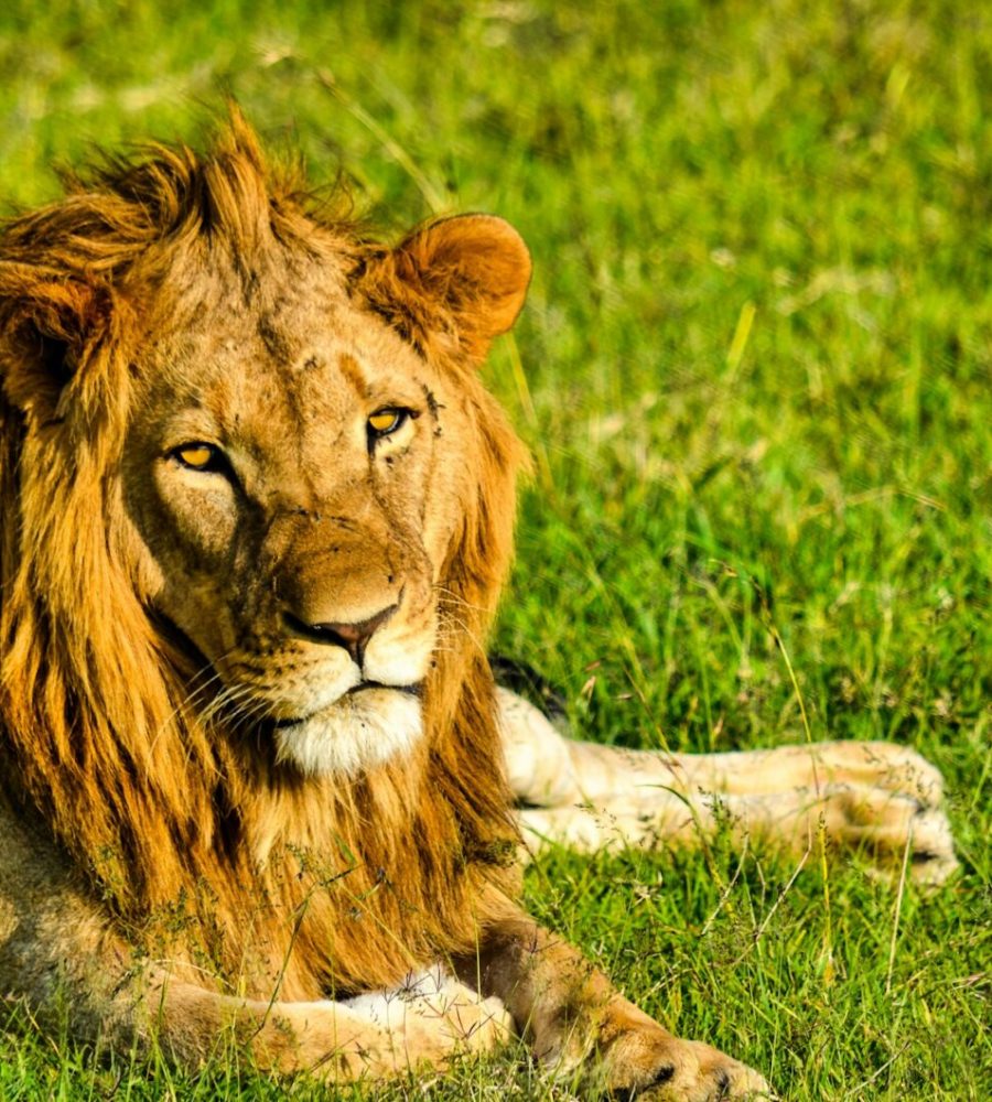 bibhash-polygon-cafe-banerjee-bgzpREiqplc-unsplash