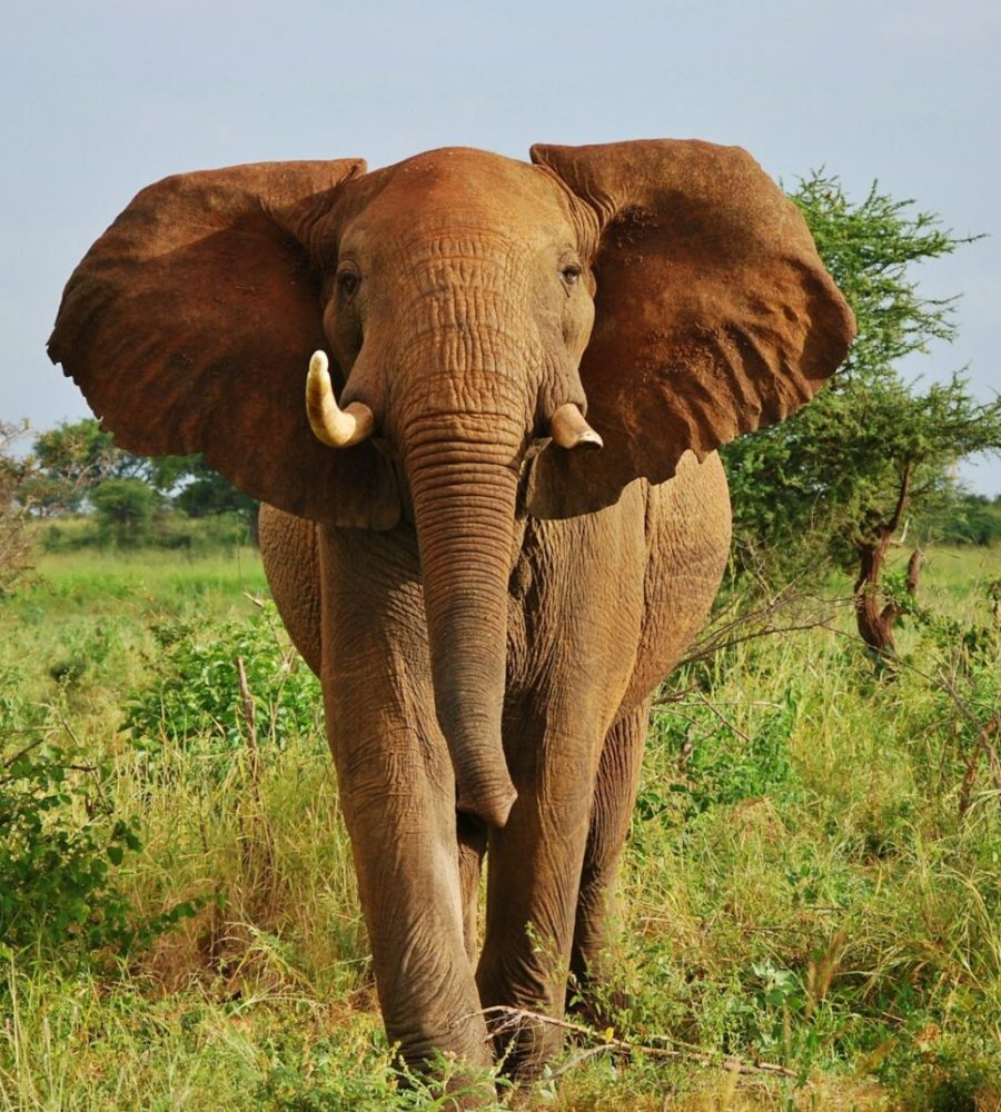 jennifer-deacon-8pPY0aiP59g-unsplash